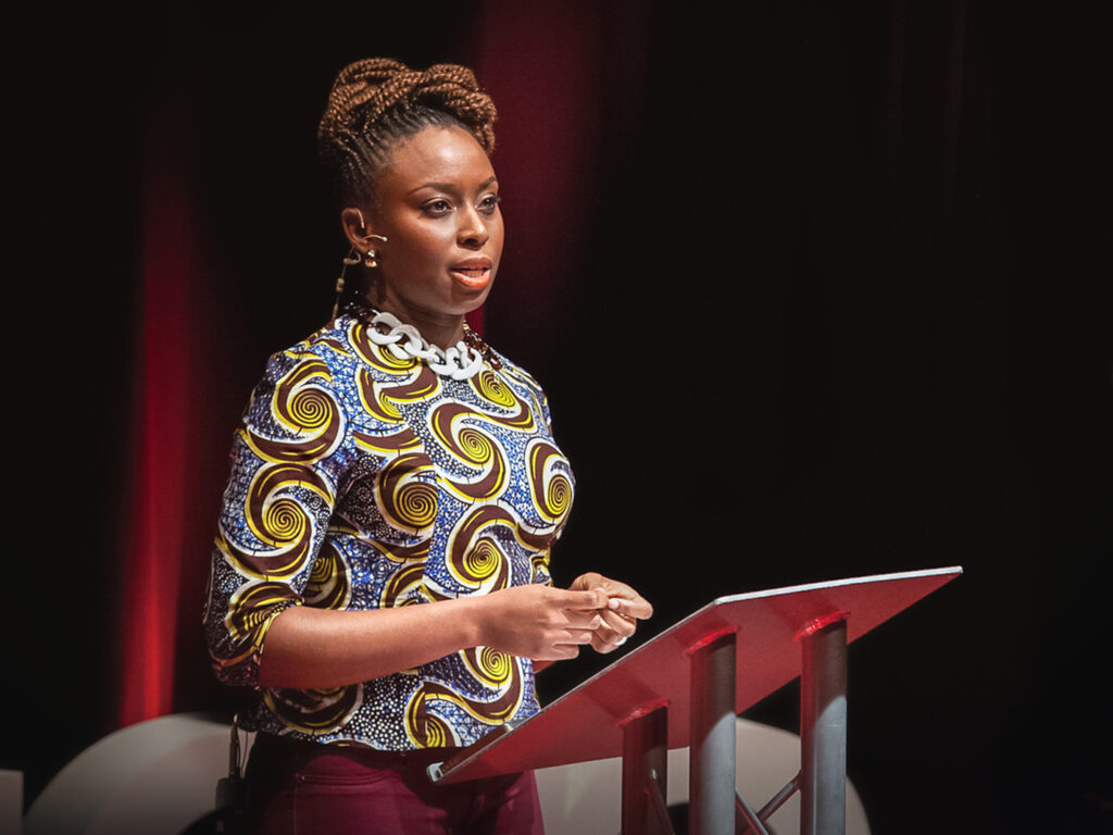 Nigerians youths have no role models - Chimamanda Adichie